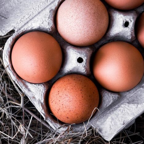 PASTURE-RAISED EGGS