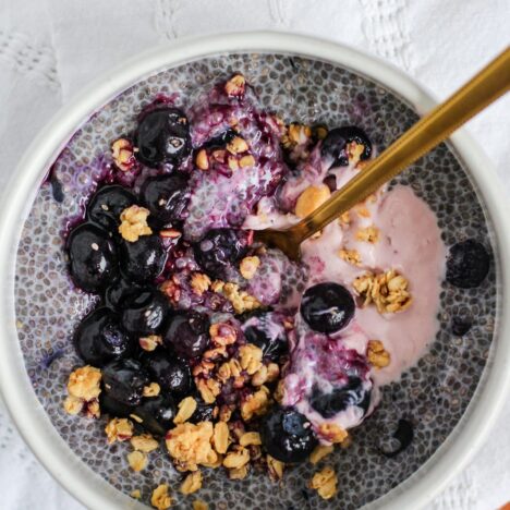 Chia Seed Pudding: Blueberry