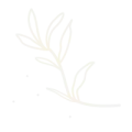 Local-and-Organic-Eggwhite